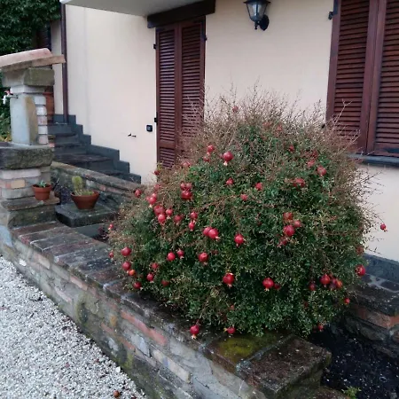 Agriturismo Il Melo Valfabbrica Exterior photo