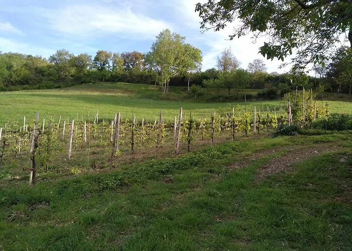 Agriturismo Il Melo