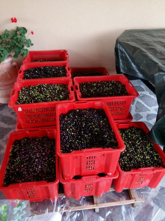 Farm stay Il Melo