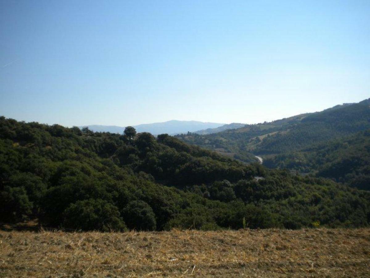 Farm stay Il Melo